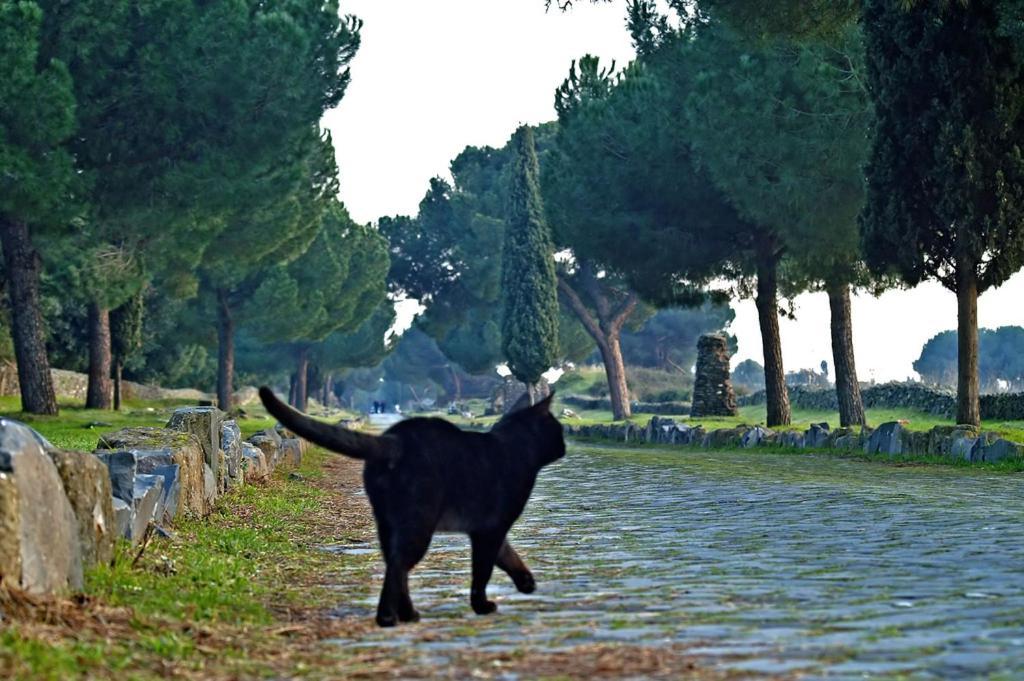 B&B Appia Felis Róma Kültér fotó